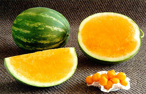 بالصور فاكهه البطيخ الاصفر Yellow Watermelon-عالم الصور